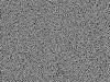 tendril_003.jpg